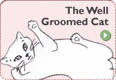 Cat Grooming Furminator tool