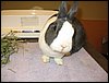 IMG_0420.jpg