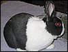 IMG_0423.jpg