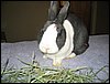 IMG_0428.jpg